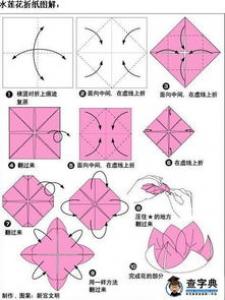 狐狸灵活的耳朵能对声音进行准确定位、嗅觉灵敏,修长的腿能够奔跑!